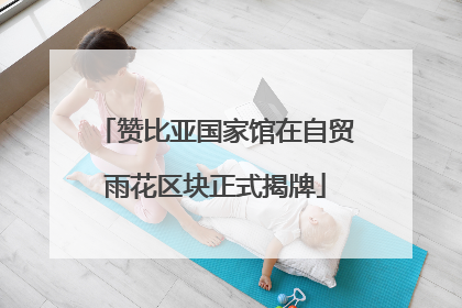 赞比亚国家馆在自贸雨花区块正式揭牌