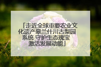 走近全球重要农业文化遗产皋兰什川古梨园系统 守护生态瑰宝 激活发展动能