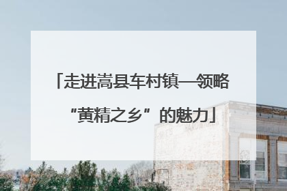 走进嵩县车村镇—领略“黄精之乡”的魅力