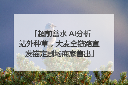 超前蓄水 AI分析 站外种草，大麦全链路宣发锚定剧场商家售出