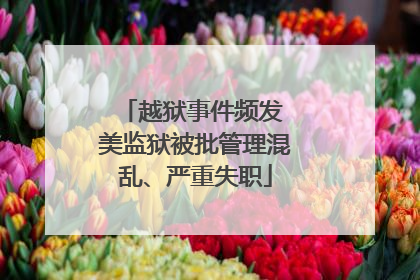 越狱事件频发 美监狱被批管理混乱、严重失职