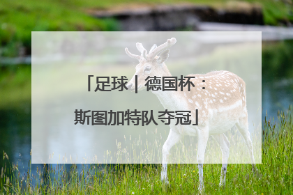 足球｜德国杯：斯图加特队夺冠