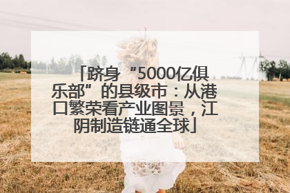 跻身“5000亿俱乐部”的县级市：从港口繁荣看产业图景，江阴制造链通全球