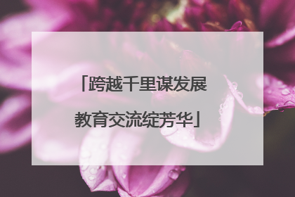 跨越千里谋发展 教育交流绽芳华