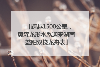 跨越1500公里，奥森龙形水系迎来湖南益阳双桡龙舟表