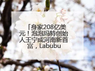 身家208亿美元！泡泡玛特创始人王宁成河南新首富，Labubu热销推涨股价