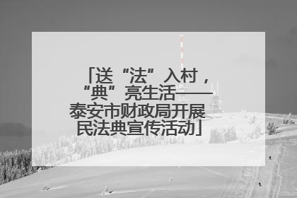 送“法”入村，“典”亮生活——泰安市财政局开展民法典宣传活动
