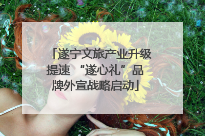 遂宁文旅产业升级提速 “遂心礼”品牌外宣战略启动