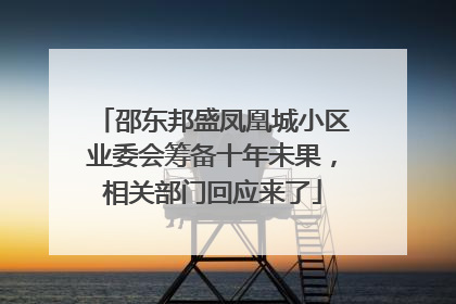 邵东邦盛凤凰城小区业委会筹备十年未果，相关部门回应来了