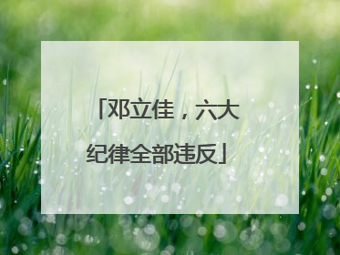 邓立佳，六大纪律全部违反