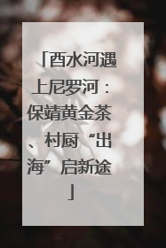 酉水河遇上尼罗河：保靖黄金茶、村厨“出海”启新途