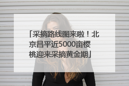 采摘路线图来啦！北京昌平近5000亩樱桃迎来采摘黄金期