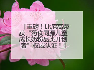 重磅！比尼高荣获“药食同源儿童成长奶粉品类开创者”权威认证！
