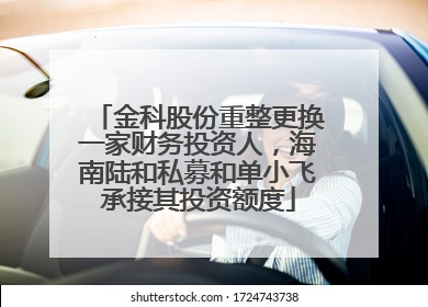 金科股份重整更换一家财务投资人，海南陆和私募和单小飞承接其投资额度