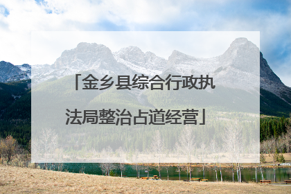 金乡县综合行政执法局整治占道经营