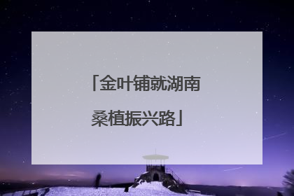 金叶铺就湖南桑植振兴路