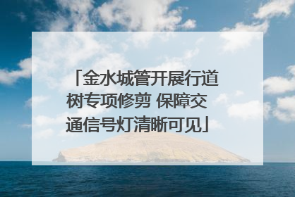 金水城管开展行道树专项修剪 保障交通信号灯清晰可见