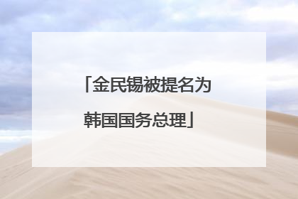金民锡被提名为韩国国务总理
