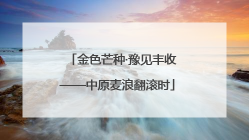 金色芒种·豫见丰收——中原麦浪翻滚时