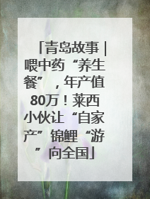 青岛故事｜喂中药“养生餐”，年产值80万！莱西小伙让“自家产”锦鲤“游”向全国