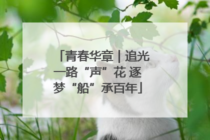 青春华章｜追光一路“声”花 逐梦“船”承百年