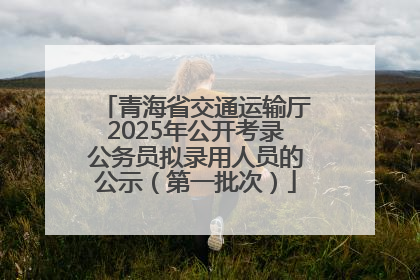 青海省交通运输厅2025年公开考录公务员拟录用人员的公示（第一批次）