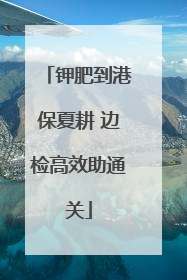 钾肥到港保夏耕 边检高效助通关