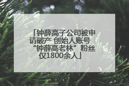 钟薛高子公司被申请破产 创始人账号“钟薛高老林”粉丝仅1800余人