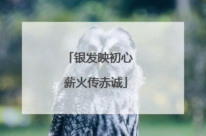 银发映初心 薪火传赤诚