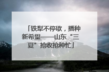 铁犁不停歇，播种新希望——山东“三夏”抢收抢种忙
