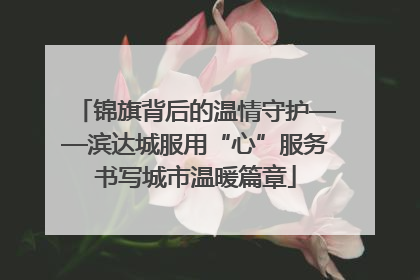 锦旗背后的温情守护——滨达城服用“心”服务书写城市温暖篇章