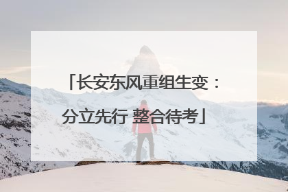 长安东风重组生变：分立先行 整合待考