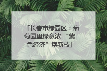 长春市绿园区：葡萄园里绿意浓 “紫色经济”焕新枝
