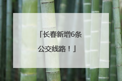 长春新增6条公交线路！
