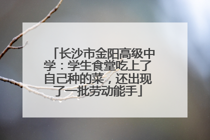 长沙市金阳高级中学：学生食堂吃上了自己种的菜，还出现了一批劳动能手