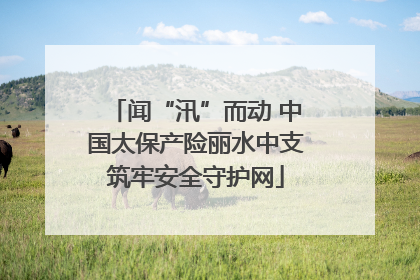 闻“汛”而动 中国太保产险丽水中支筑牢安全守护网
