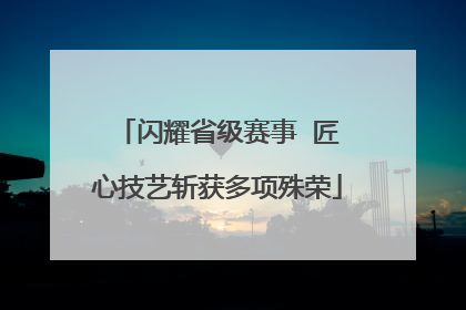 闪耀省级赛事  匠心技艺斩获多项殊荣