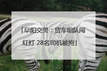 阜阳交警：货车组队闯红灯 28名司机被拘