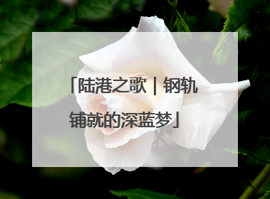 陆港之歌｜钢轨铺就的深蓝梦