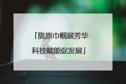 陇原巾帼展芳华 科技赋能促发展