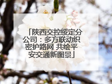 陕西交控绥定分公司：多方联动织密护路网 共绘平安交通新图景