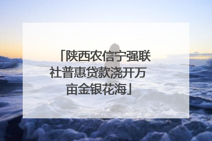 陕西农信宁强联社普惠贷款浇开万亩金银花海