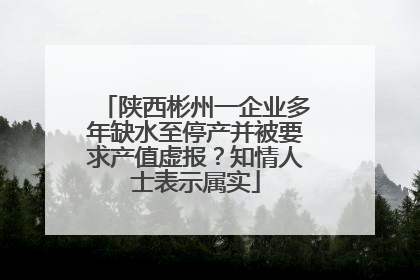 陕西彬州一企业多年缺水至停产并被要求产值虚报？知情人士表示属实