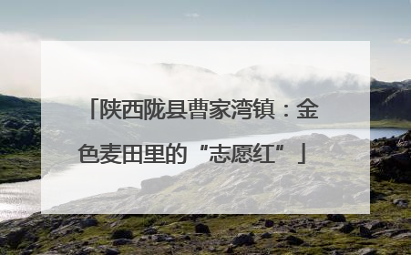 陕西陇县曹家湾镇：金色麦田里的“志愿红”