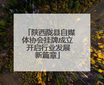 陕西陇县自媒体协会挂牌成立 开启行业发展新篇章