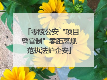 零陵公安“项目警官制”零距离规范执法护企安