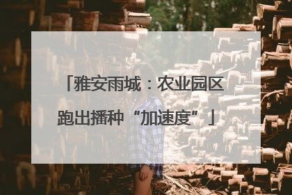 雅安雨城：农业园区跑出播种“加速度”