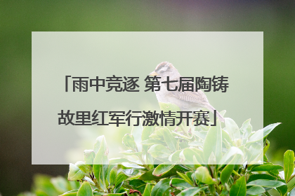 雨中竞逐 第七届陶铸故里红军行激情开赛