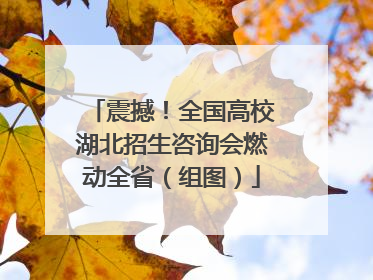 震撼！全国高校湖北招生咨询会燃动全省（组图）