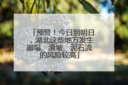 预警！今日到明日，湖北这些地方发生崩塌、滑坡、泥石流的风险较高